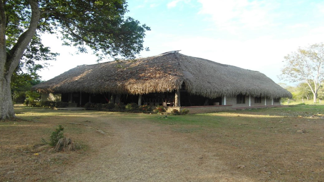 View of the Juan Solito eco hotel amid the vegetation of the Llanos