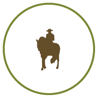 Icon of a horseback ride