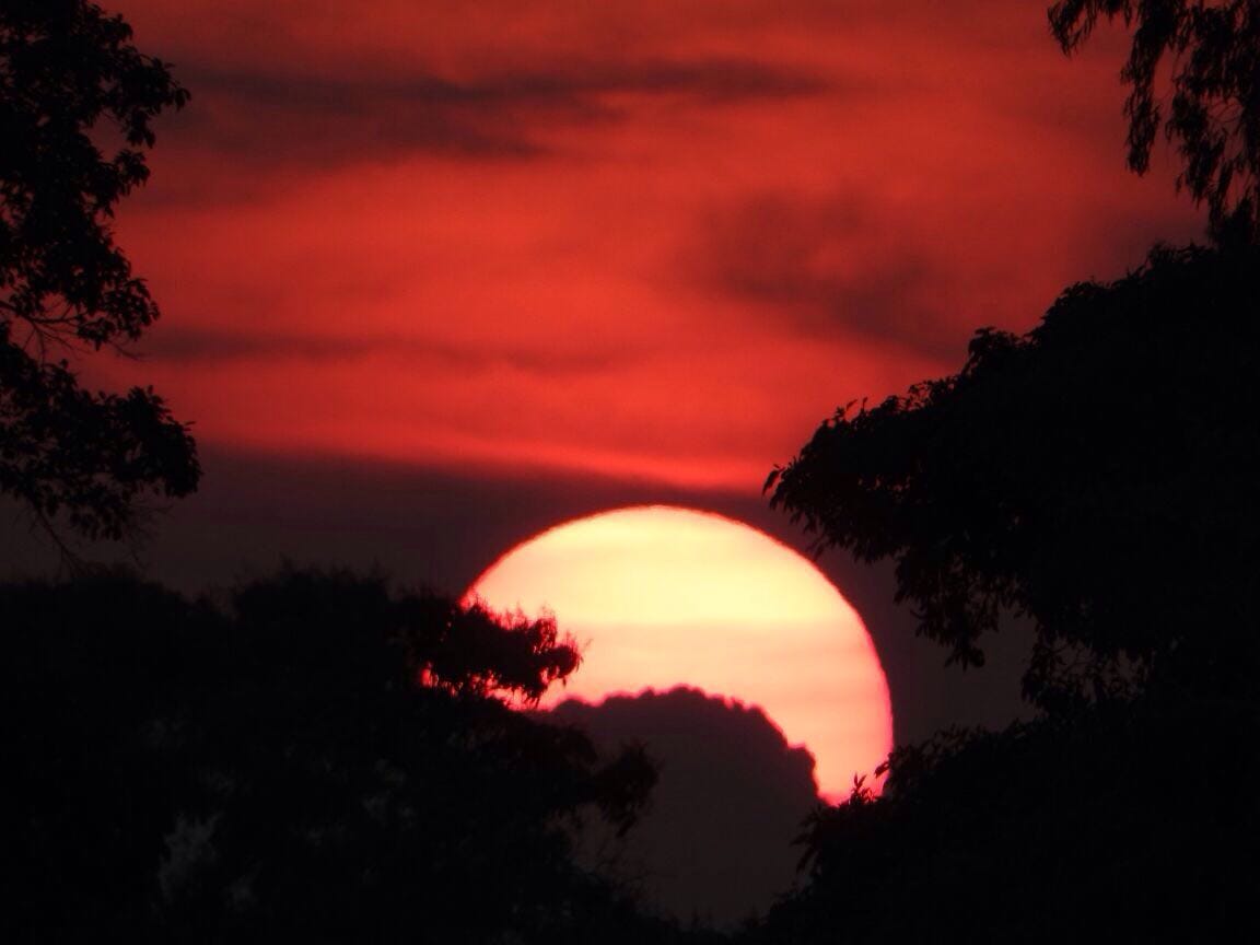Atardecer rojo sobre la Reserva Hato La Aurora