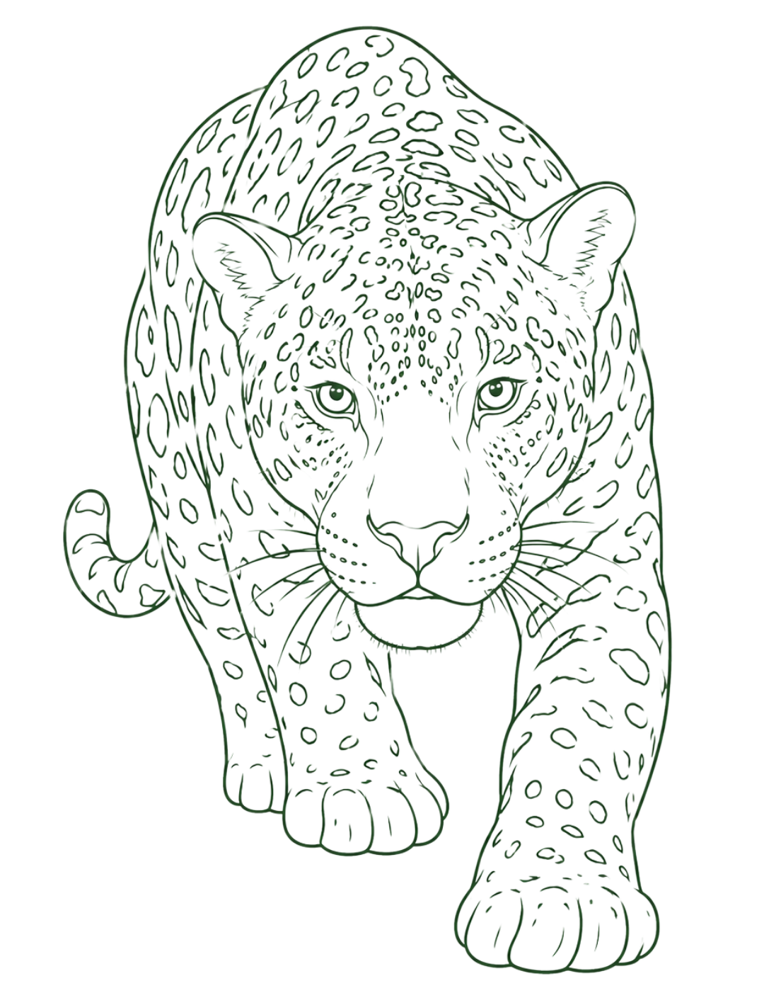 Ilustración de un jaguar de los Llanos Orientales de Colombia