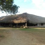 Ecolodge Colombia In Plain